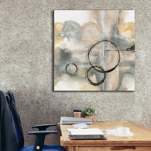 Image of 'Full Circle II' by Chris Paschke, Canvas Wall Art,37 x 37