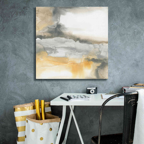 Image of 'Minerals I' by Chris Paschke, Canvas Wall Art,26 x 26