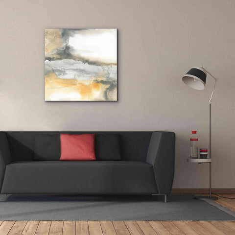 Image of 'Minerals I' by Chris Paschke, Canvas Wall Art,37 x 37