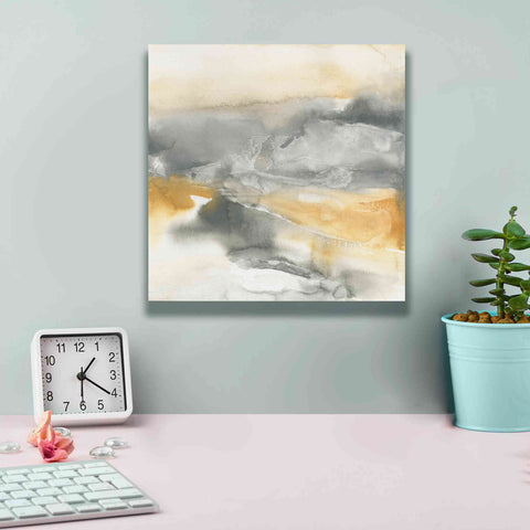 Image of 'Minerals II' by Chris Paschke, Canvas Wall Art,12 x 12