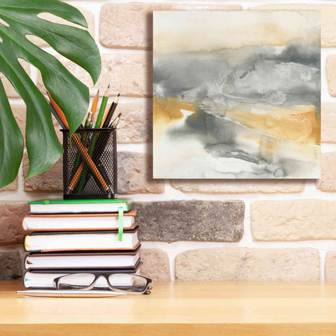 Image of 'Minerals II' by Chris Paschke, Canvas Wall Art,12 x 12