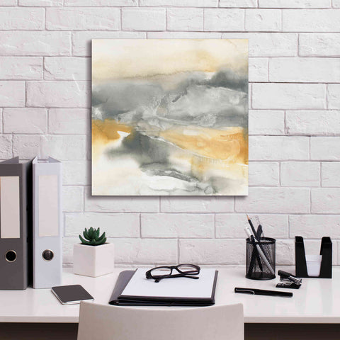 Image of 'Minerals II' by Chris Paschke, Canvas Wall Art,18 x 18