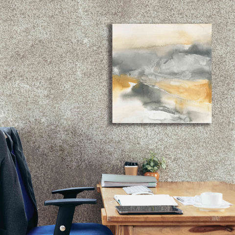 Image of 'Minerals II' by Chris Paschke, Canvas Wall Art,26 x 26