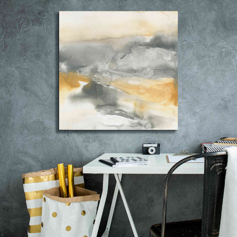 Image of 'Minerals II' by Chris Paschke, Canvas Wall Art,26 x 26