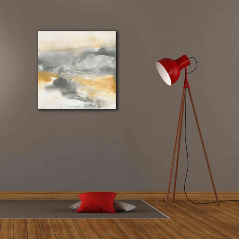 Image of 'Minerals II' by Chris Paschke, Canvas Wall Art,26 x 26