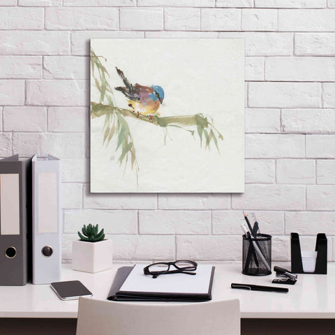 Image of 'Finch' by Chris Paschke, Canvas Wall Art,18 x 18