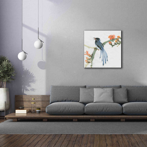 Image of 'Formosan Blue Magpie' by Chris Paschke, Canvas Wall Art,37 x 37