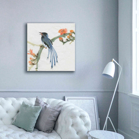 Image of 'Formosan Blue Magpie' by Chris Paschke, Canvas Wall Art,37 x 37