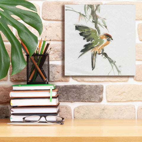 Image of 'Formosan Firecrest' by Chris Paschke, Canvas Wall Art,12 x 12