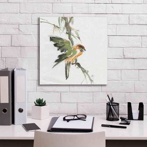 Image of 'Formosan Firecrest' by Chris Paschke, Canvas Wall Art,18 x 18