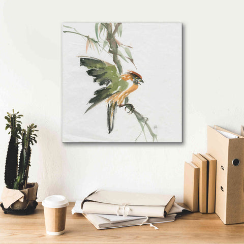 Image of 'Formosan Firecrest' by Chris Paschke, Canvas Wall Art,18 x 18