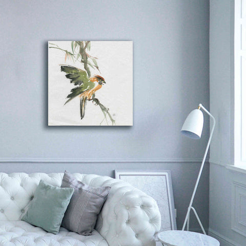 Image of 'Formosan Firecrest' by Chris Paschke, Canvas Wall Art,37 x 37