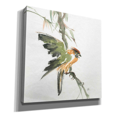 Image of 'Formosan Firecrest' by Chris Paschke, Canvas Wall Art