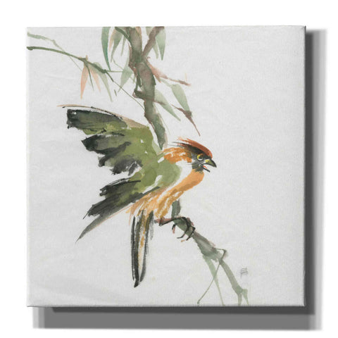 Image of 'Formosan Firecrest' by Chris Paschke, Canvas Wall Art