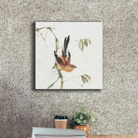 Image of 'Mountain Bush Warbler' by Chris Paschke, Canvas Wall Art,18 x 18