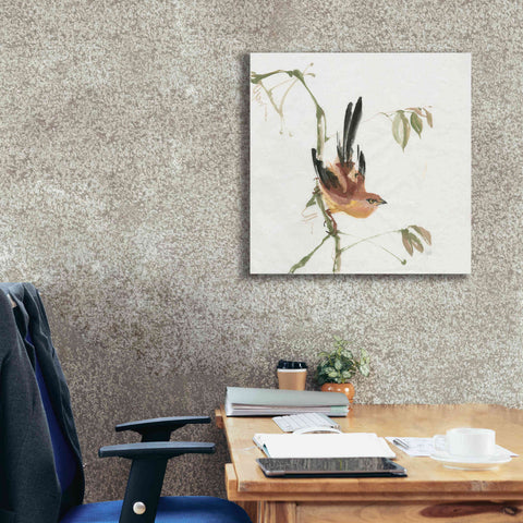 Image of 'Mountain Bush Warbler' by Chris Paschke, Canvas Wall Art,26 x 26