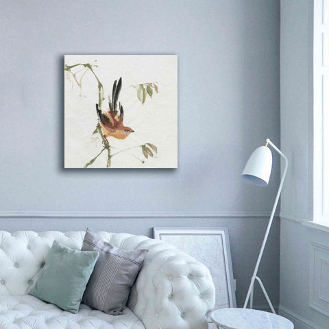 Image of 'Mountain Bush Warbler' by Chris Paschke, Canvas Wall Art,37 x 37