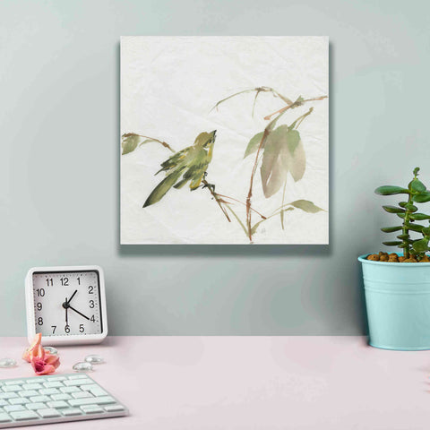 Image of 'Sisken' by Chris Paschke, Canvas Wall Art,12 x 12