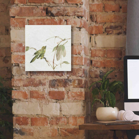 Image of 'Sisken' by Chris Paschke, Canvas Wall Art,12 x 12