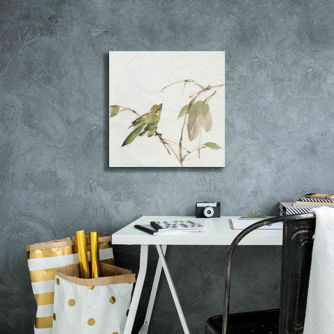 Image of 'Sisken' by Chris Paschke, Canvas Wall Art,18 x 18