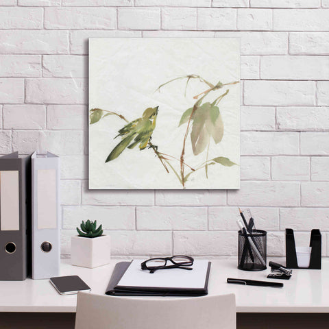 Image of 'Sisken' by Chris Paschke, Canvas Wall Art,18 x 18