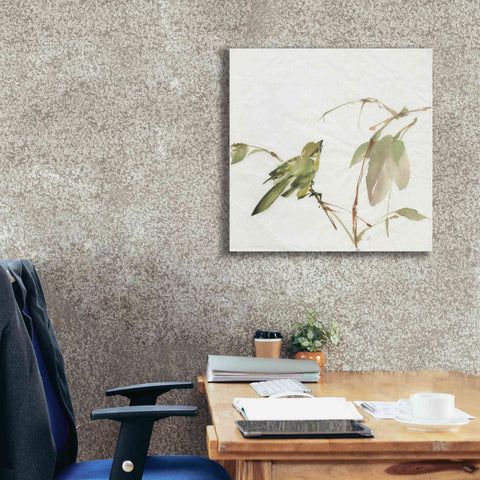 Image of 'Sisken' by Chris Paschke, Canvas Wall Art,26 x 26