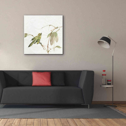 Image of 'Sisken' by Chris Paschke, Canvas Wall Art,37 x 37