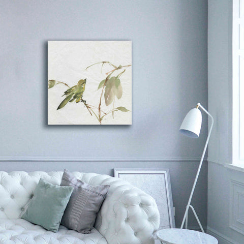 Image of 'Sisken' by Chris Paschke, Canvas Wall Art,37 x 37