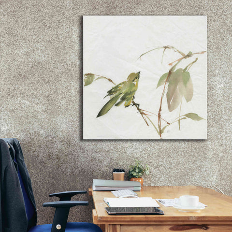 Image of 'Sisken' by Chris Paschke, Canvas Wall Art,37 x 37