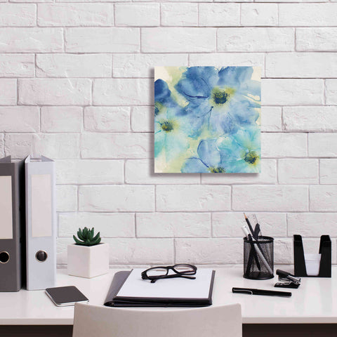 Image of 'Seashell Cosmos I' by Chris Paschke, Canvas Wall Art,12 x 12