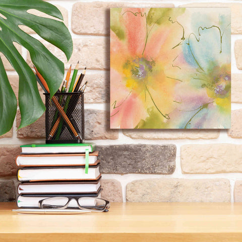 Image of 'Rainbow Cosmos I' by Chris Paschke, Canvas Wall Art,12 x 12