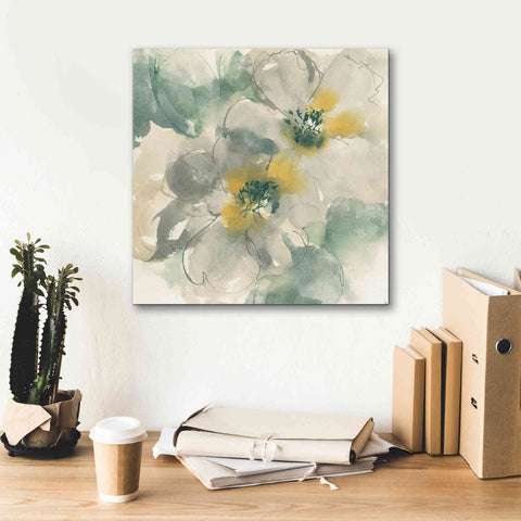 Image of 'Silver Quince I' by Chris Paschke, Canvas Wall Art,18 x 18