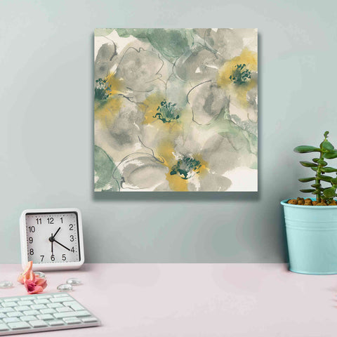 Image of 'Silver Quince II' by Chris Paschke, Canvas Wall Art,12 x 12