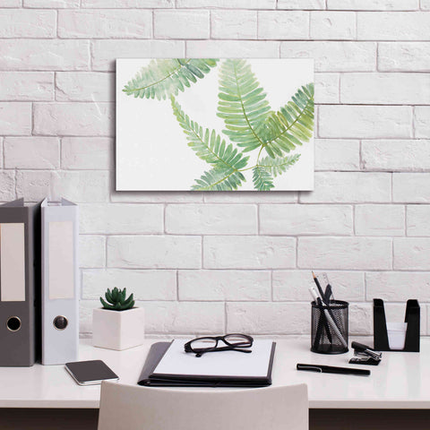 Image of 'Ferns II' by Chris Paschke, Canvas Wall Art,18 x 12