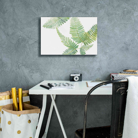 Image of 'Ferns II' by Chris Paschke, Canvas Wall Art,18 x 12