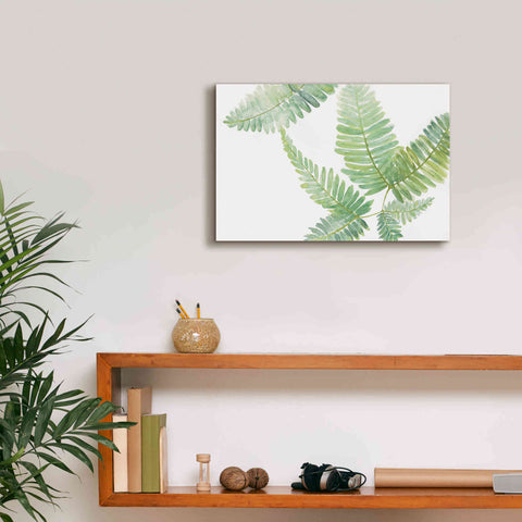 Image of 'Ferns II' by Chris Paschke, Canvas Wall Art,18 x 12