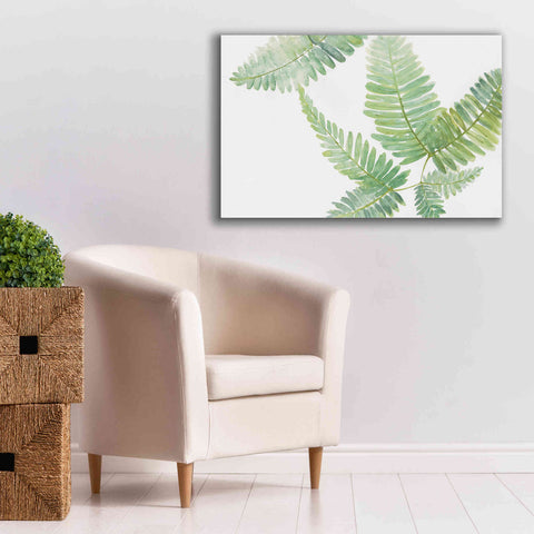 Image of 'Ferns II' by Chris Paschke, Canvas Wall Art,40 x 26