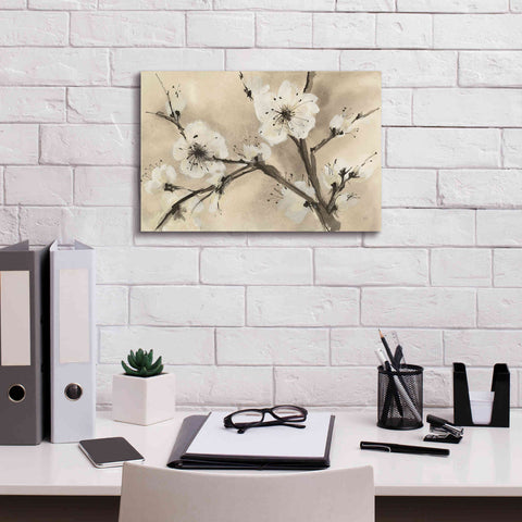 Image of 'Spring Blossoms III' by Chris Paschke, Canvas Wall Art,18 x 12