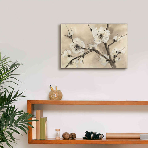 Image of 'Spring Blossoms III' by Chris Paschke, Canvas Wall Art,18 x 12