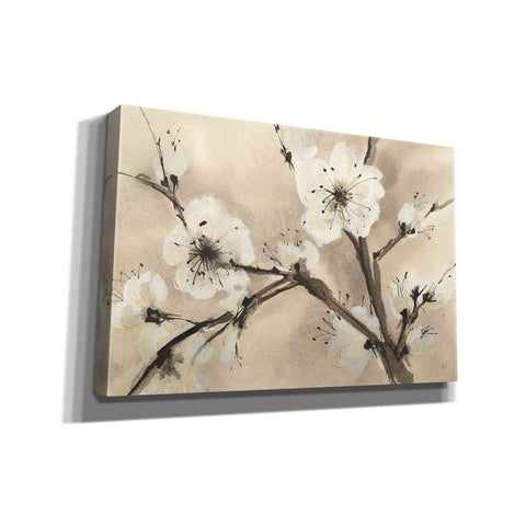 Image of 'Spring Blossoms III' by Chris Paschke, Canvas Wall Art