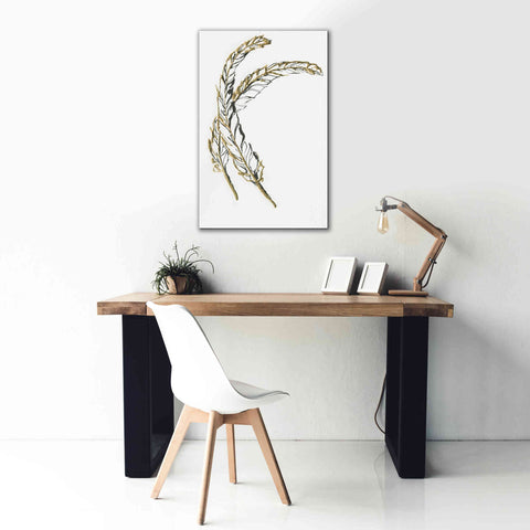 Image of 'Gilded Hackles Feather' by Chris Paschke, Canvas Wall Art,26 x 40