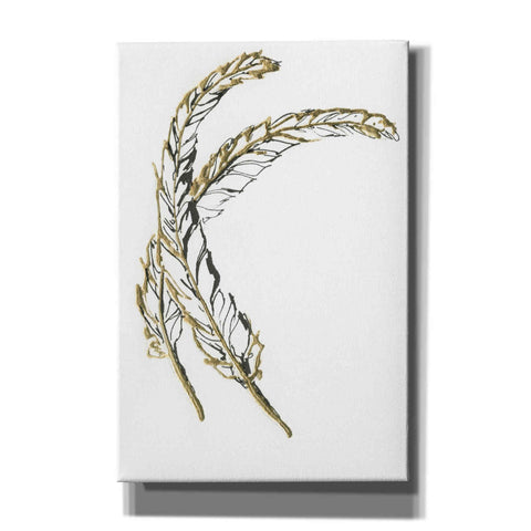 Image of 'Gilded Hackles Feather' by Chris Paschke, Canvas Wall Art