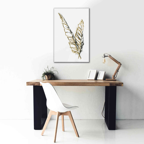 Image of 'Gilded Raven Feather' by Chris Paschke, Canvas Wall Art,26 x 40