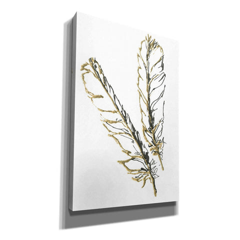 Image of 'Gilded Red Tailed Hawk Feather' by Chris Paschke, Canvas Wall Art