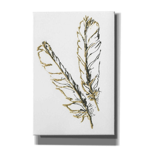 Image of 'Gilded Red Tailed Hawk Feather' by Chris Paschke, Canvas Wall Art