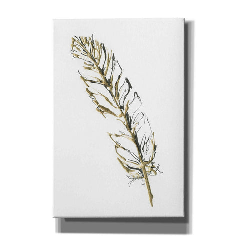 Image of 'Gilded Turkey Feather II' by Chris Paschke, Canvas Wall Art