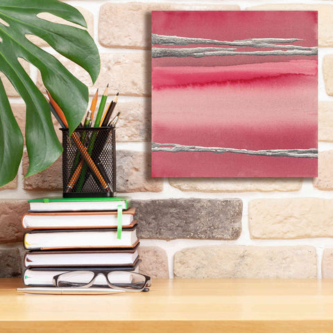 Image of 'Silver Rose I' by Chris Paschke, Canvas Wall Art,12 x 12