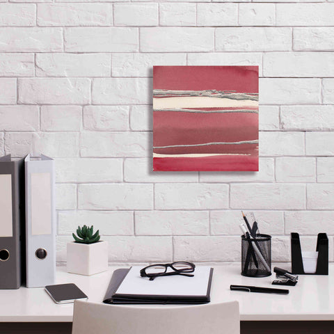 Image of 'Silver Rose II' by Chris Paschke, Canvas Wall Art,12 x 12