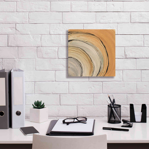 Image of 'Gilded Rings' by Chris Paschke, Canvas Wall Art,12 x 12