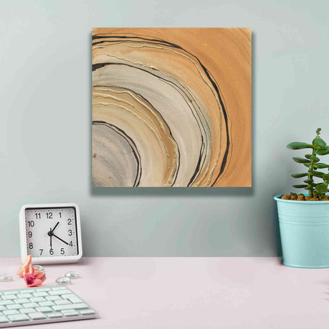 Image of 'Gilded Rings' by Chris Paschke, Canvas Wall Art,12 x 12